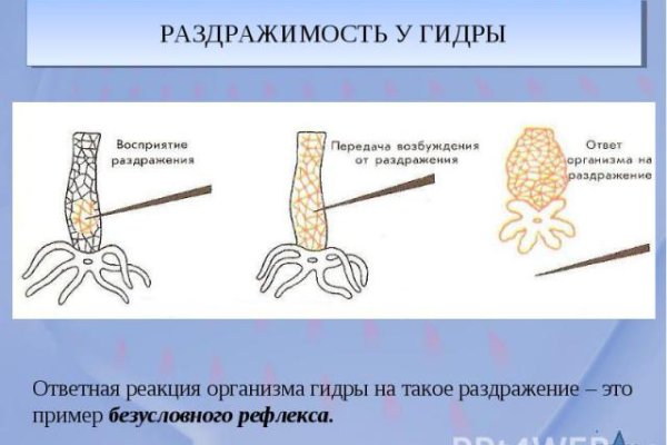 Kraken ссылка kraken torion
