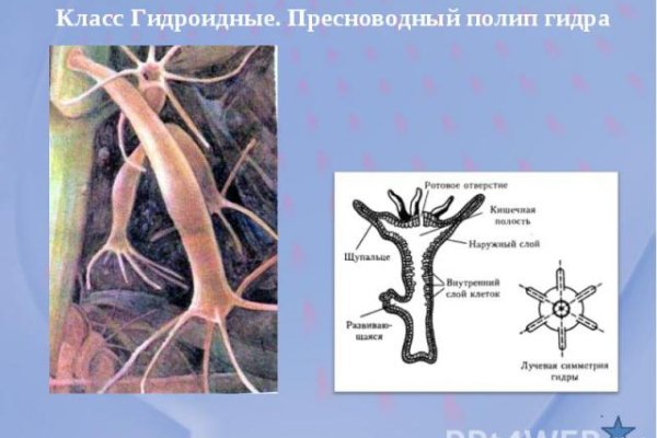 Список даркнет сайтов