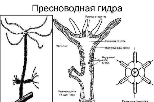 Кракен маркетплейс зайти